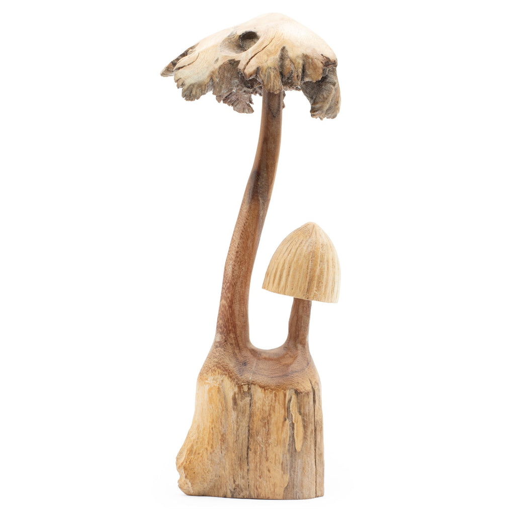 Handmade Parasite Wood Art Carving Set of Two Unique Mushrooms