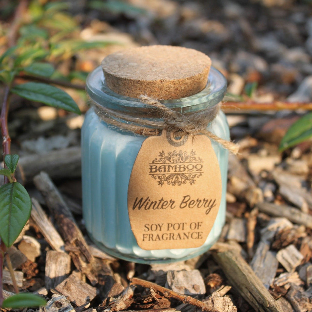 Winter Berry Soy Pot of Fragrance Candles for Home Decor Use