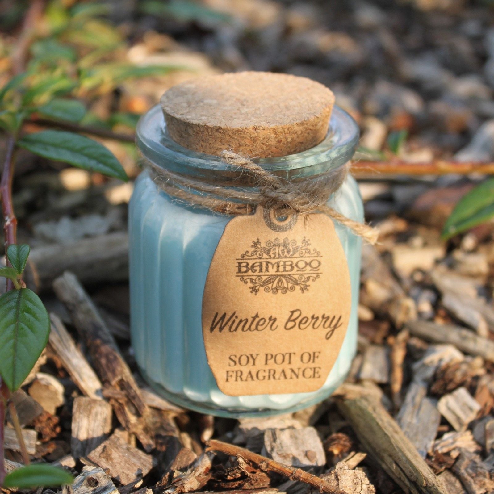 Winter Berry Soy Pot of Fragrance Candles for Home Decor Use