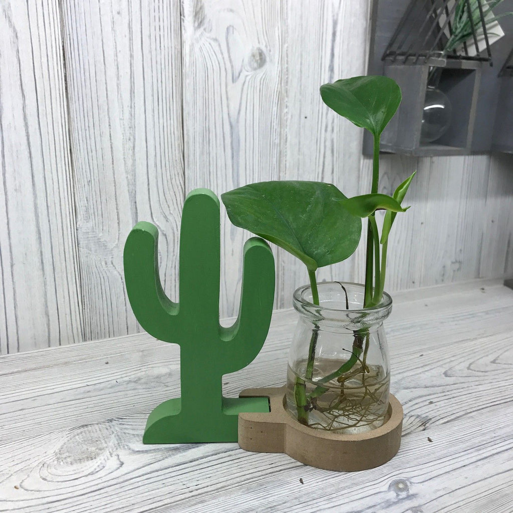 Hydroponic Home Décor Cactus Pot with Industrial Frame Design