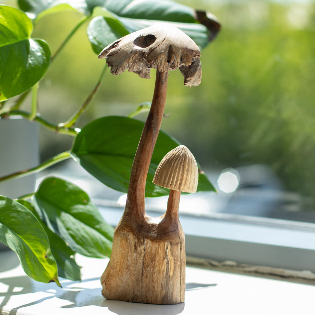 Handmade Parasite Wood Art Carving Set of Two Unique Mushrooms