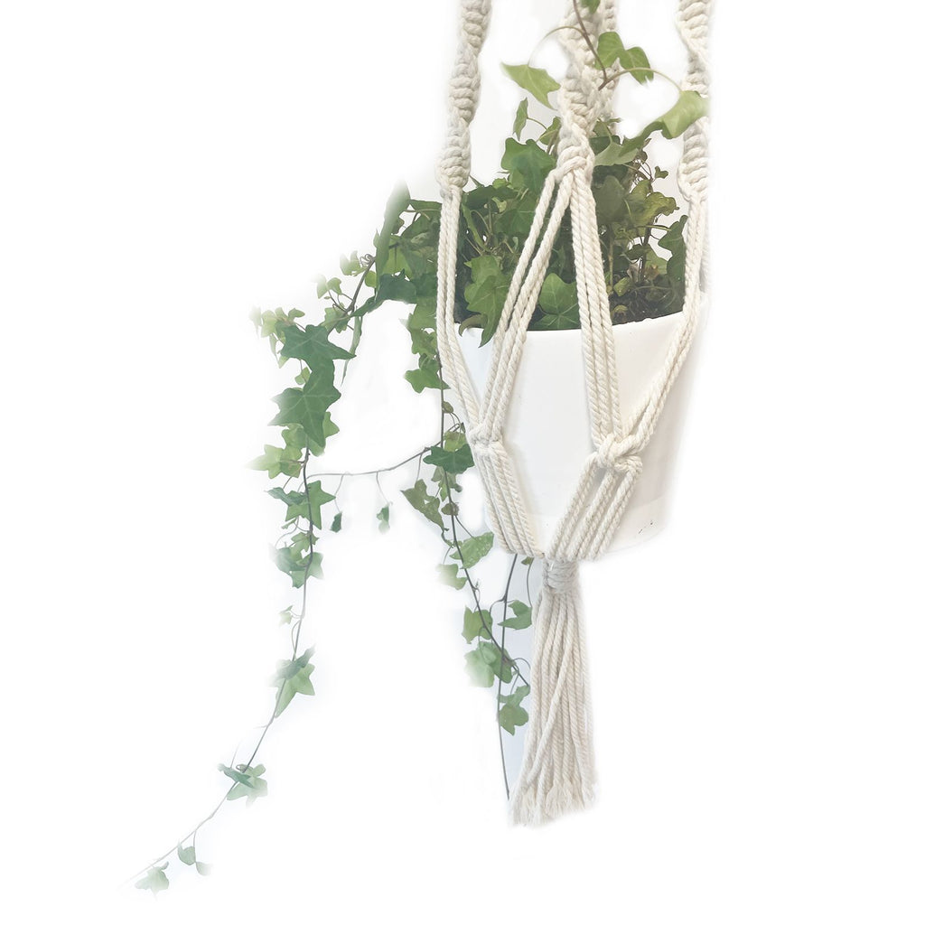 Large Extra Long Macrame Pot Holder for Stylish Plant Display
