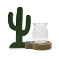 Hydroponic Home Décor Cactus Pot with Industrial Frame Design