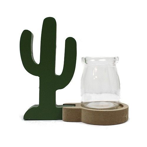 Hydroponic Home Décor Cactus Pot with Industrial Frame Design