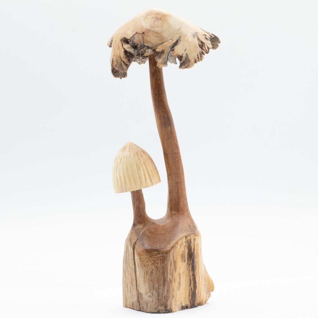 Handmade Parasite Wood Art Carving Set of Two Unique Mushrooms