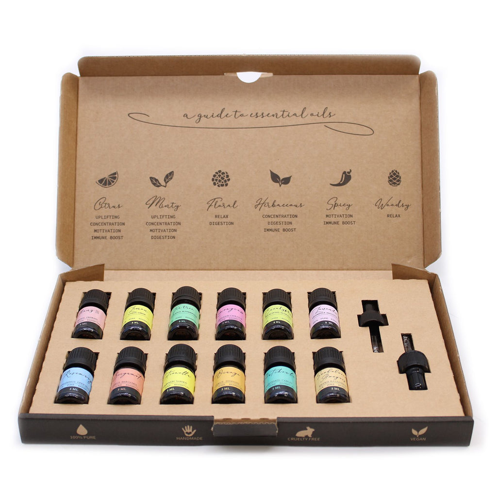 Aromatherapy Essential Oil Set with 12 Top Scents for Home Use