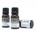 Ginger Organic Essential Oil 10ml for Aromatherapy and Beauty