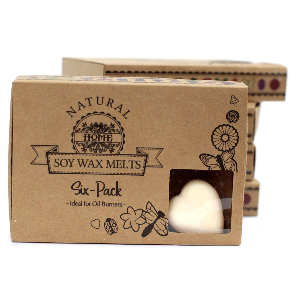 Box of 6 Natural Soy Wax Melts with Cinnamon and Orange Scents