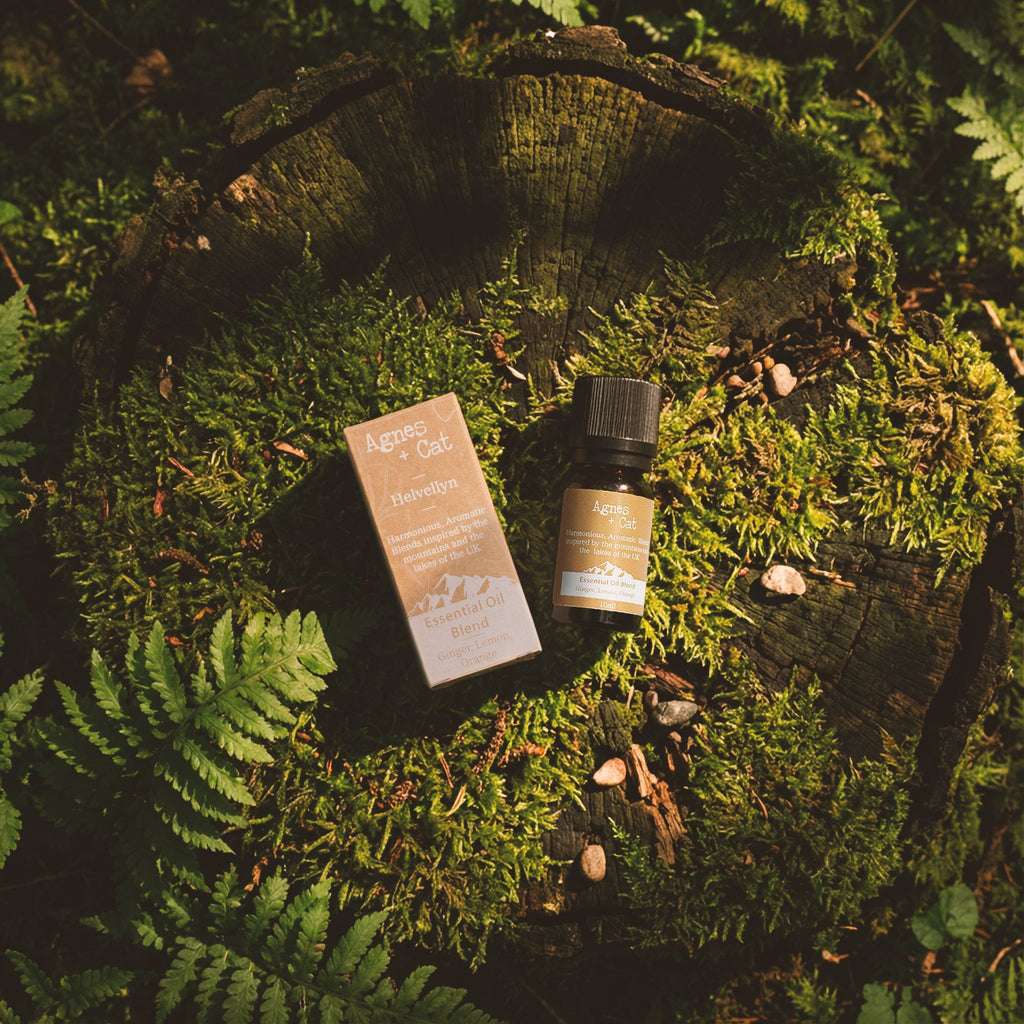 Agnes + Cat Essential Oil Blend Scafell Pike Cypress Tangerine