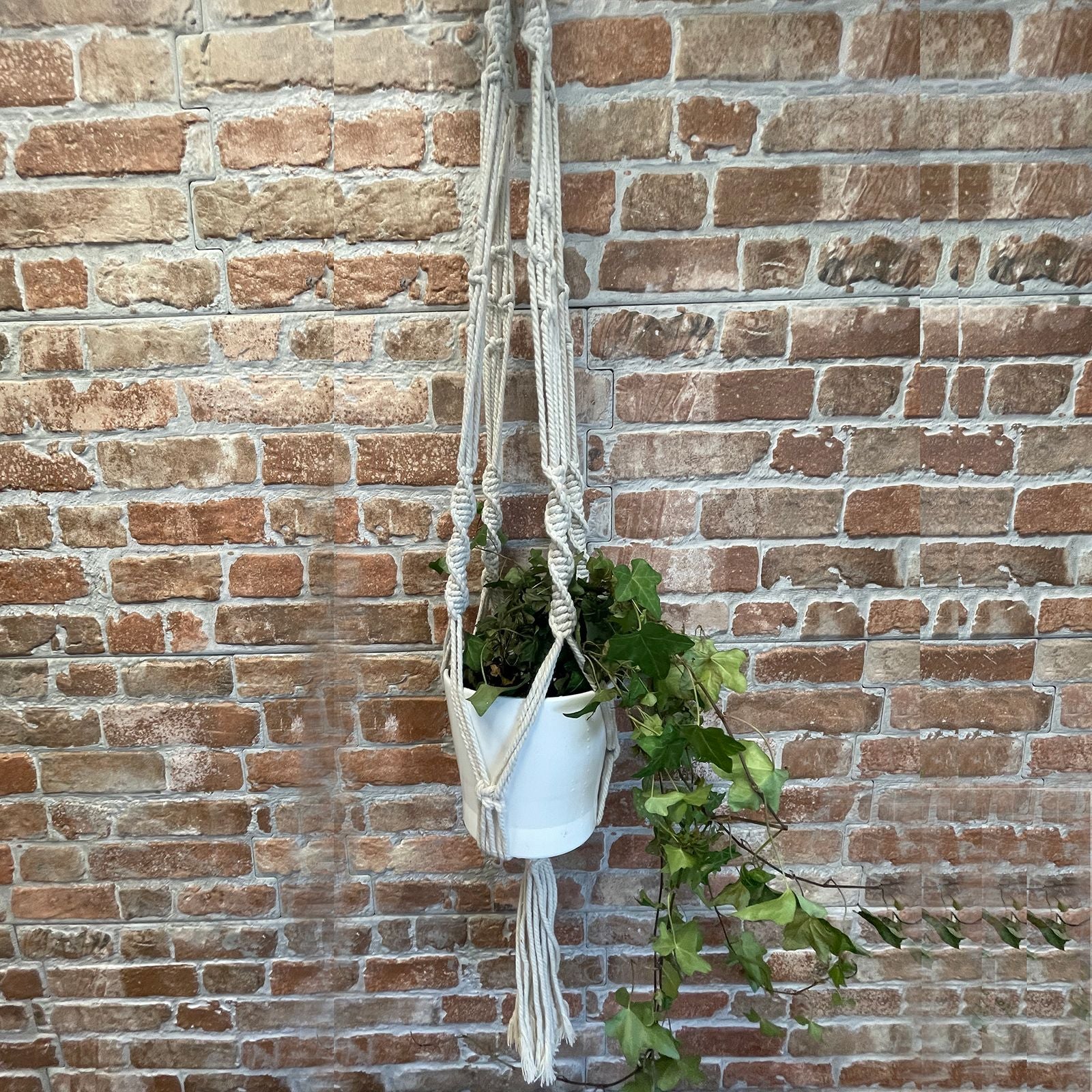 Large Extra Long Macrame Pot Holder for Stylish Plant Display