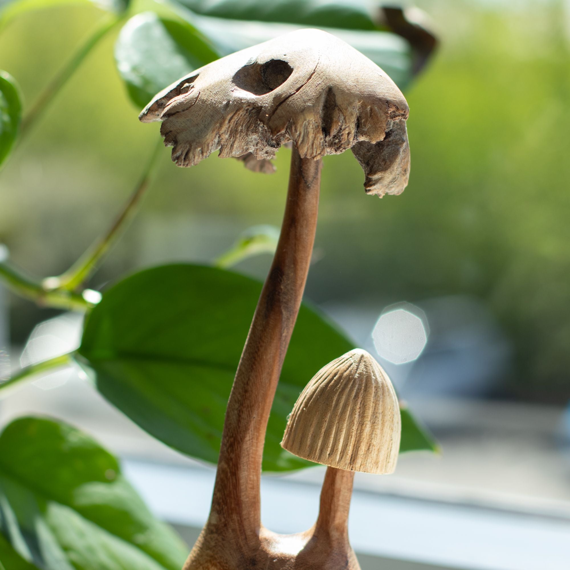 Handmade Parasite Wood Art Carving Set of Two Unique Mushrooms