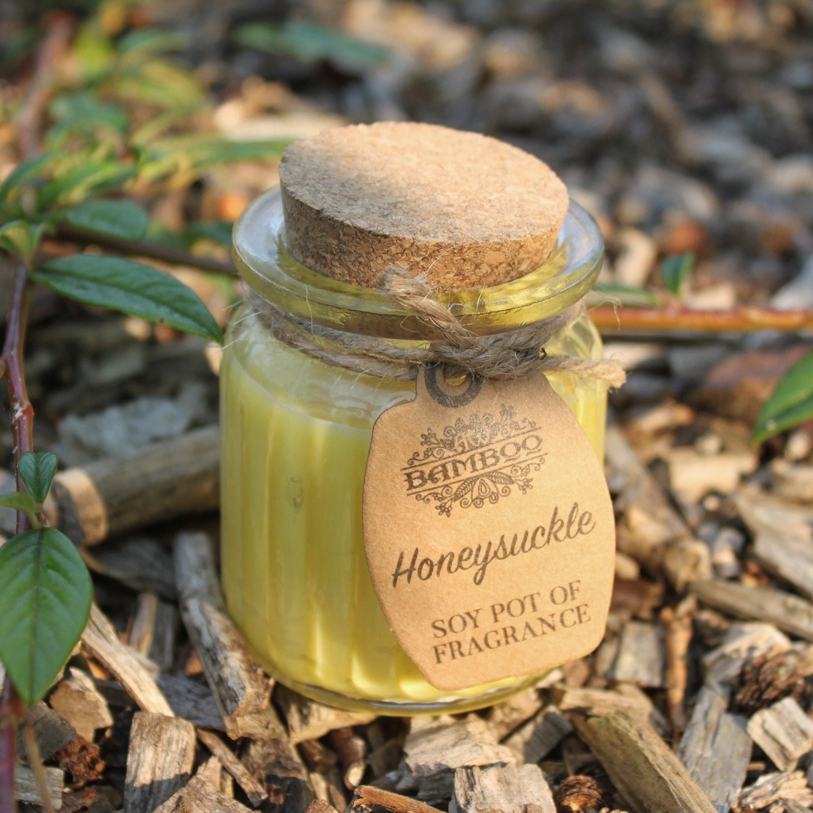 Honeysuckle Soy Pot of Fragrance Candles with Cork Lid Design