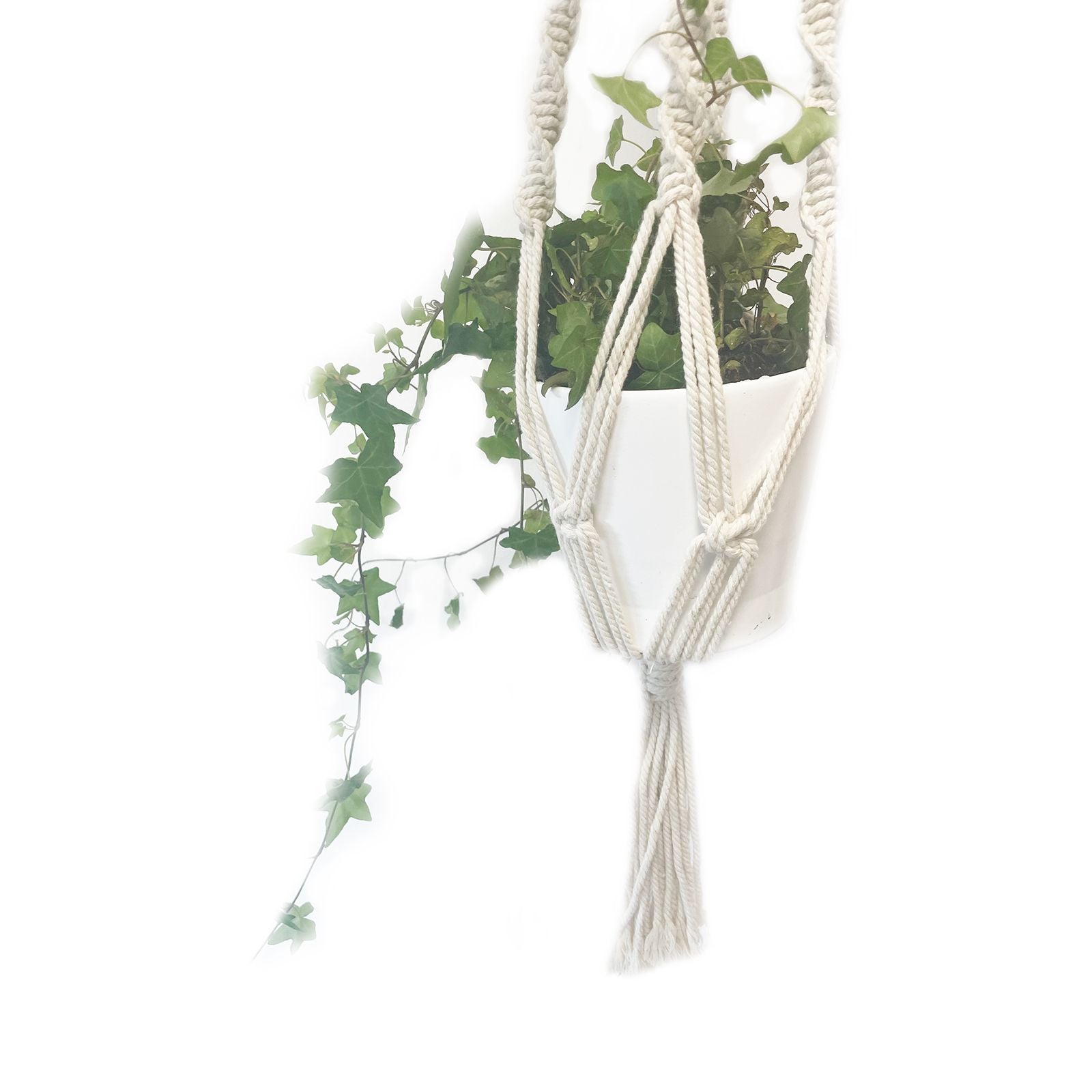 Large Extra Long Macrame Pot Holder for Stylish Plant Display