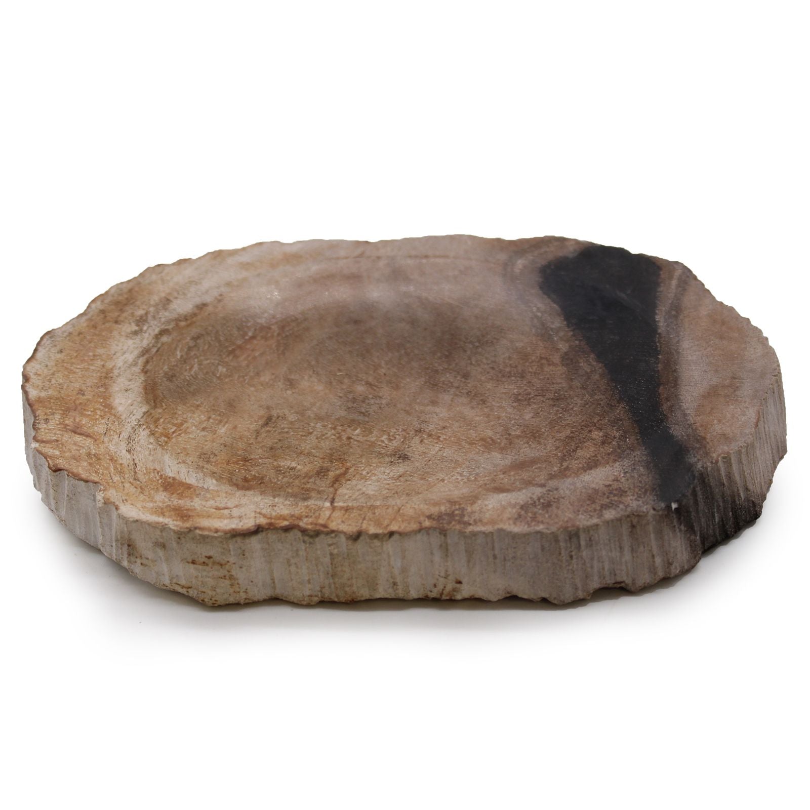 Elegant Petrified Wood Brown and Black Soap Dish for Home Decor