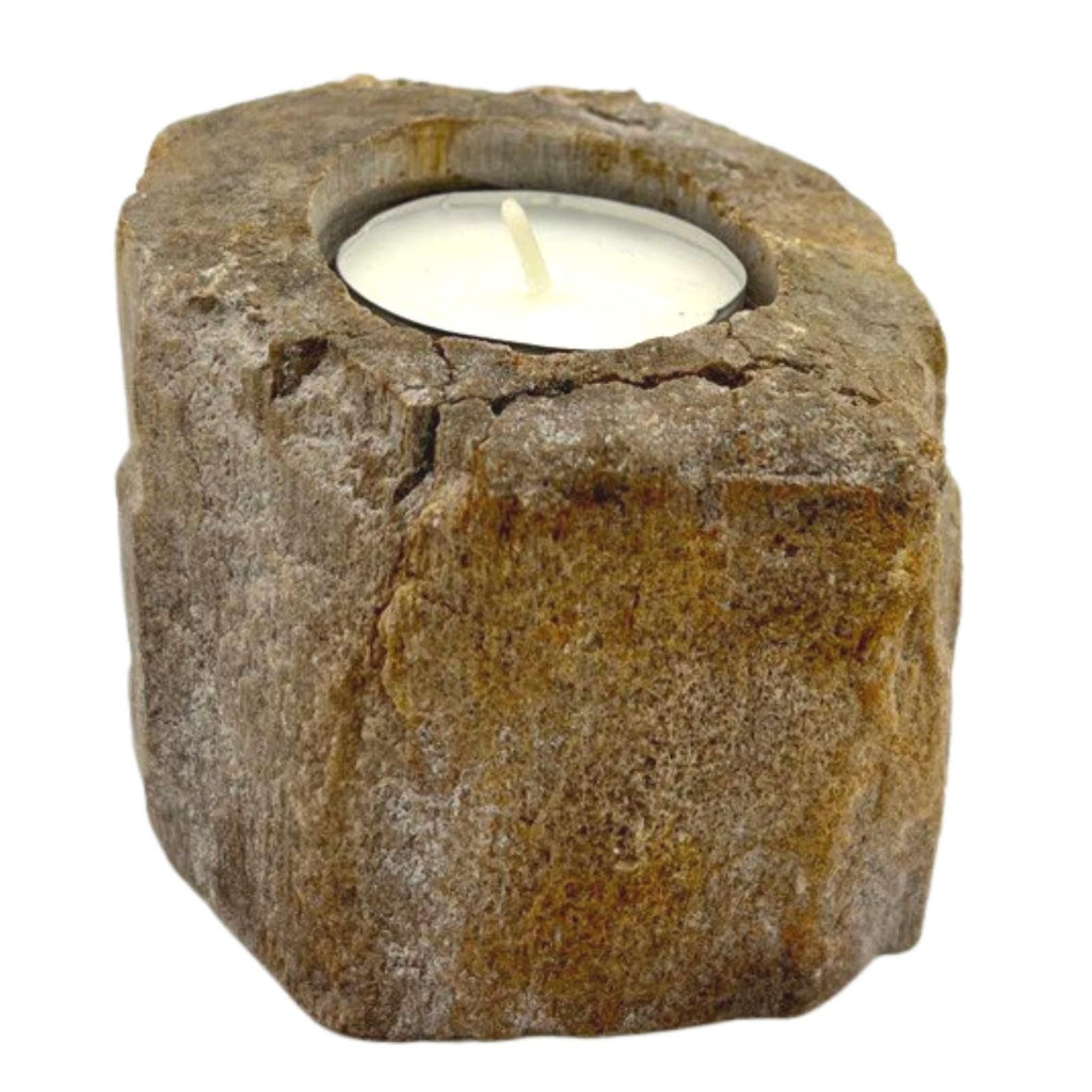 Petrified Wood Candle Holder Single Low for Unique Home Decor