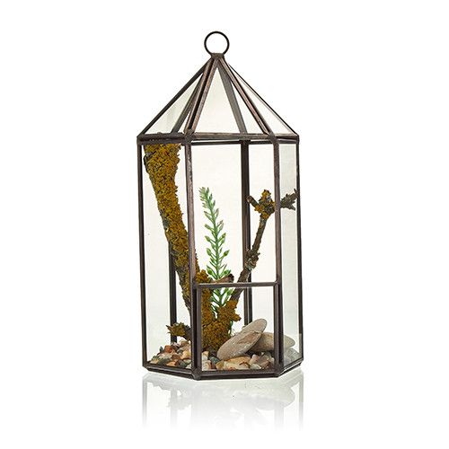 Glass Terrarium in Lantern Shape for Stylish Home Decor