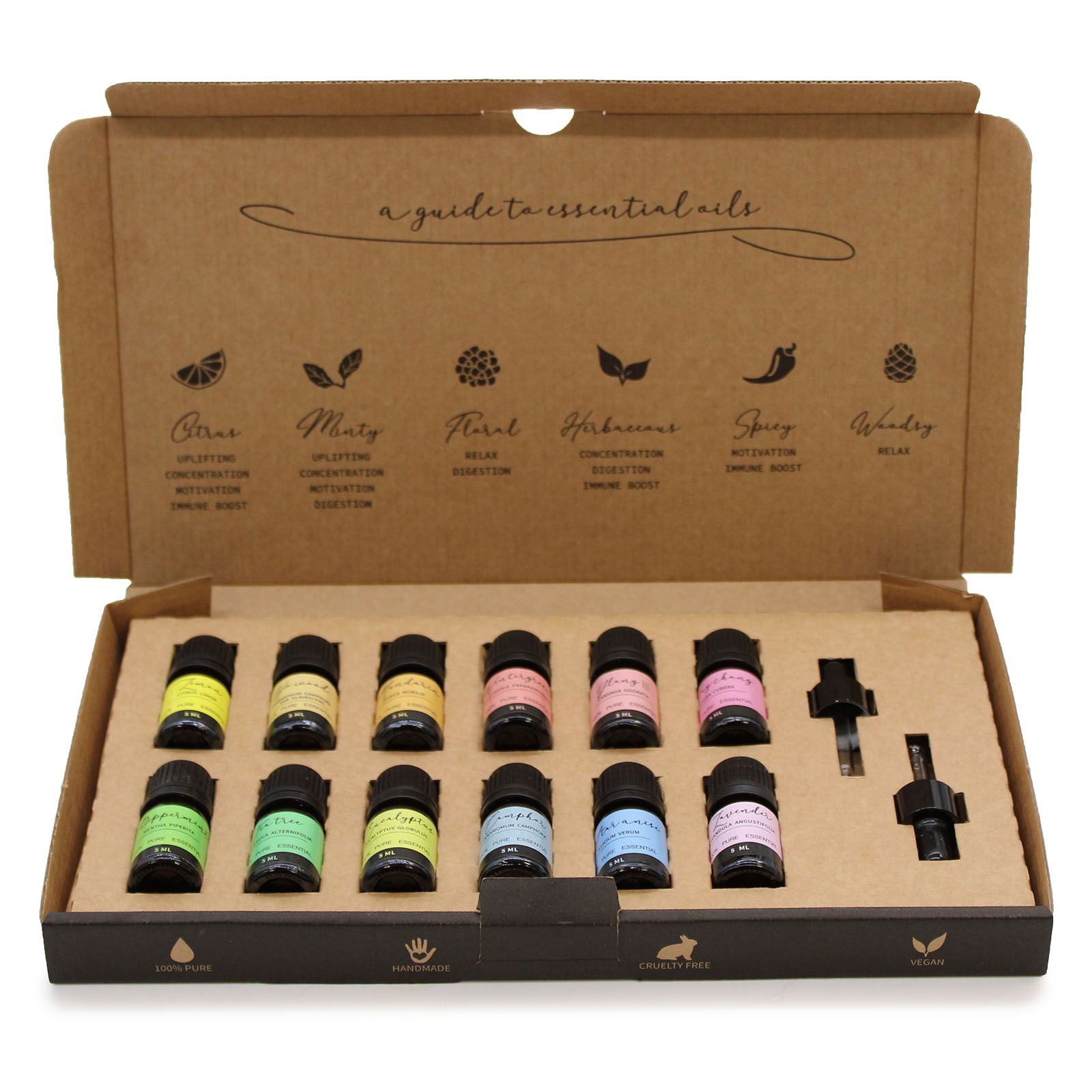 Aromatherapy Essential Oil Starter Pack with 12 Pure Oils Set