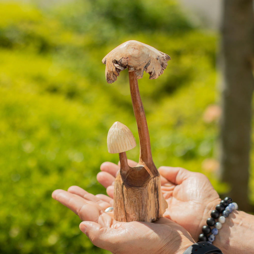 Handmade Parasite Wood Art Carving Set of Two Unique Mushrooms