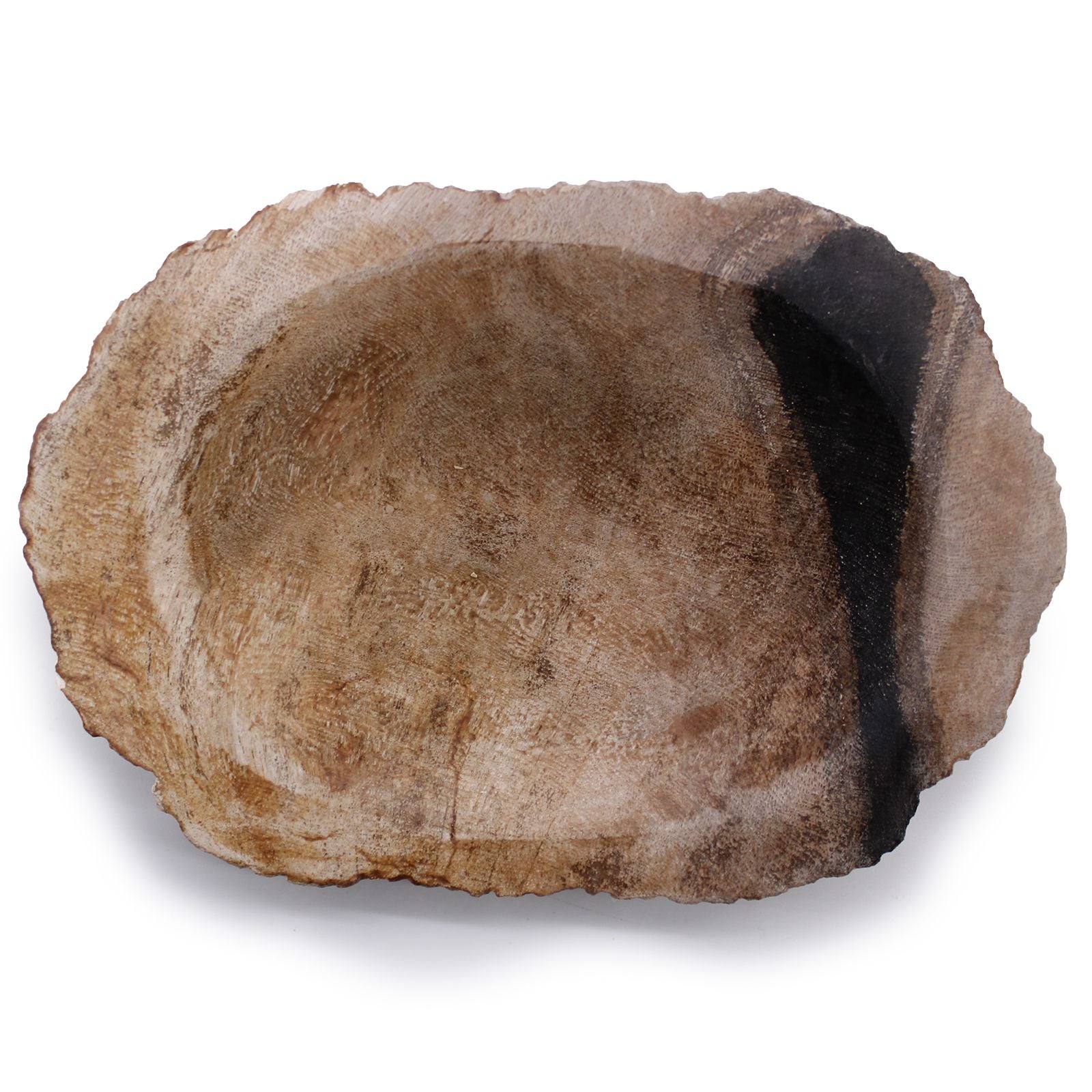 Elegant Petrified Wood Brown and Black Soap Dish for Home Decor