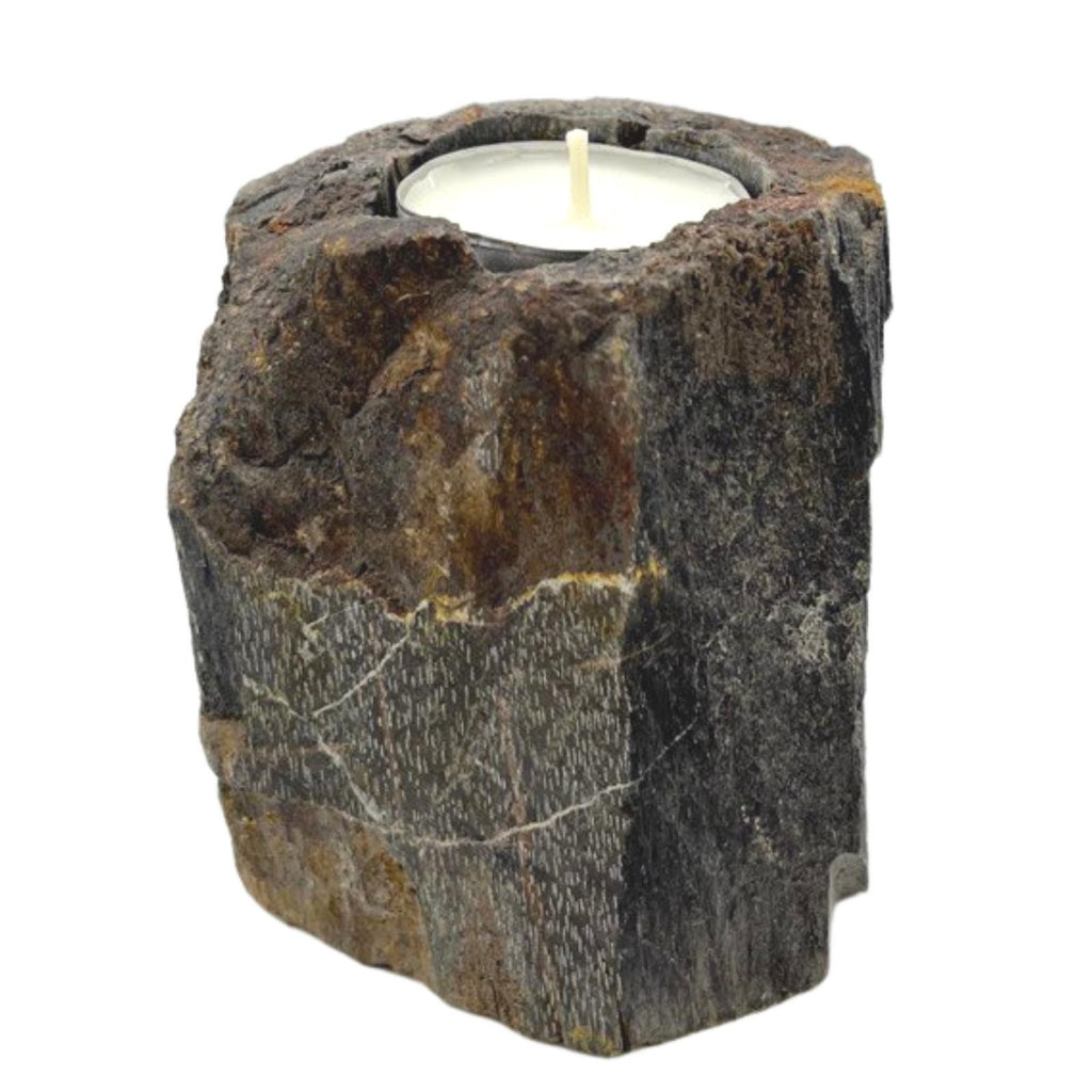 Petrified Wood Candle Holder Single Low for Unique Home Decor