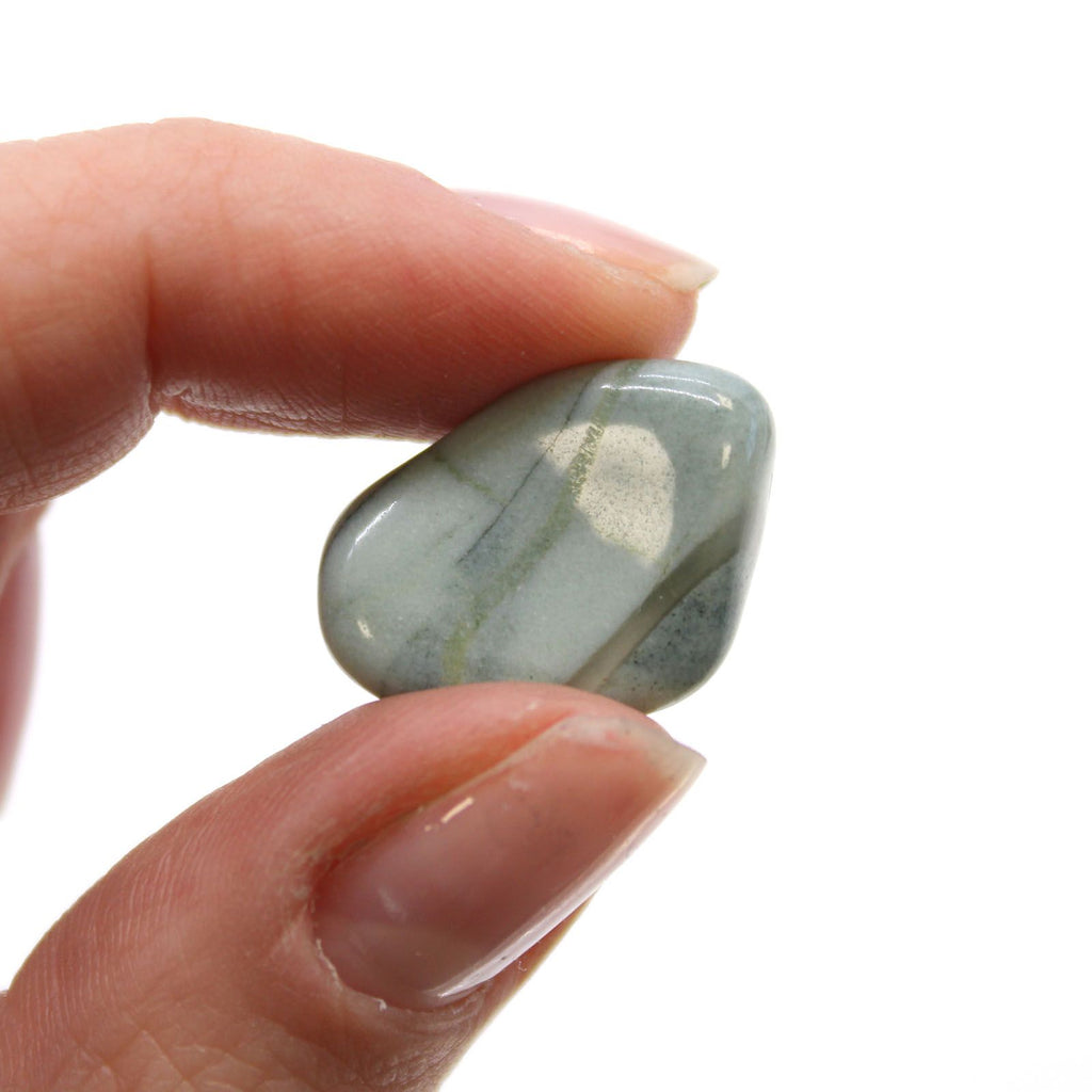 Small African Tumble Stones Bloodstone Unique Collectible Gem