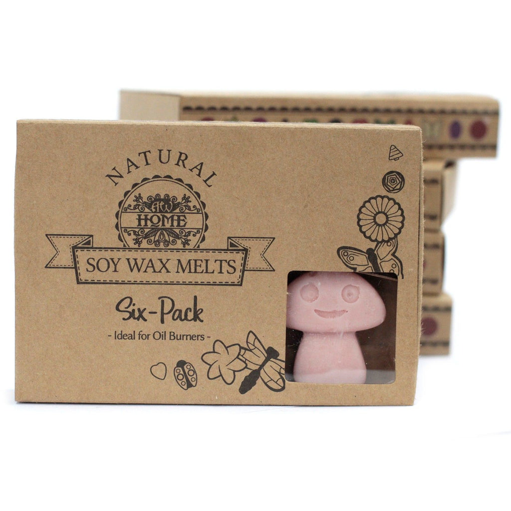 Box of 6 Coffee Trader Wax Melts for Inviting Home Fragrance