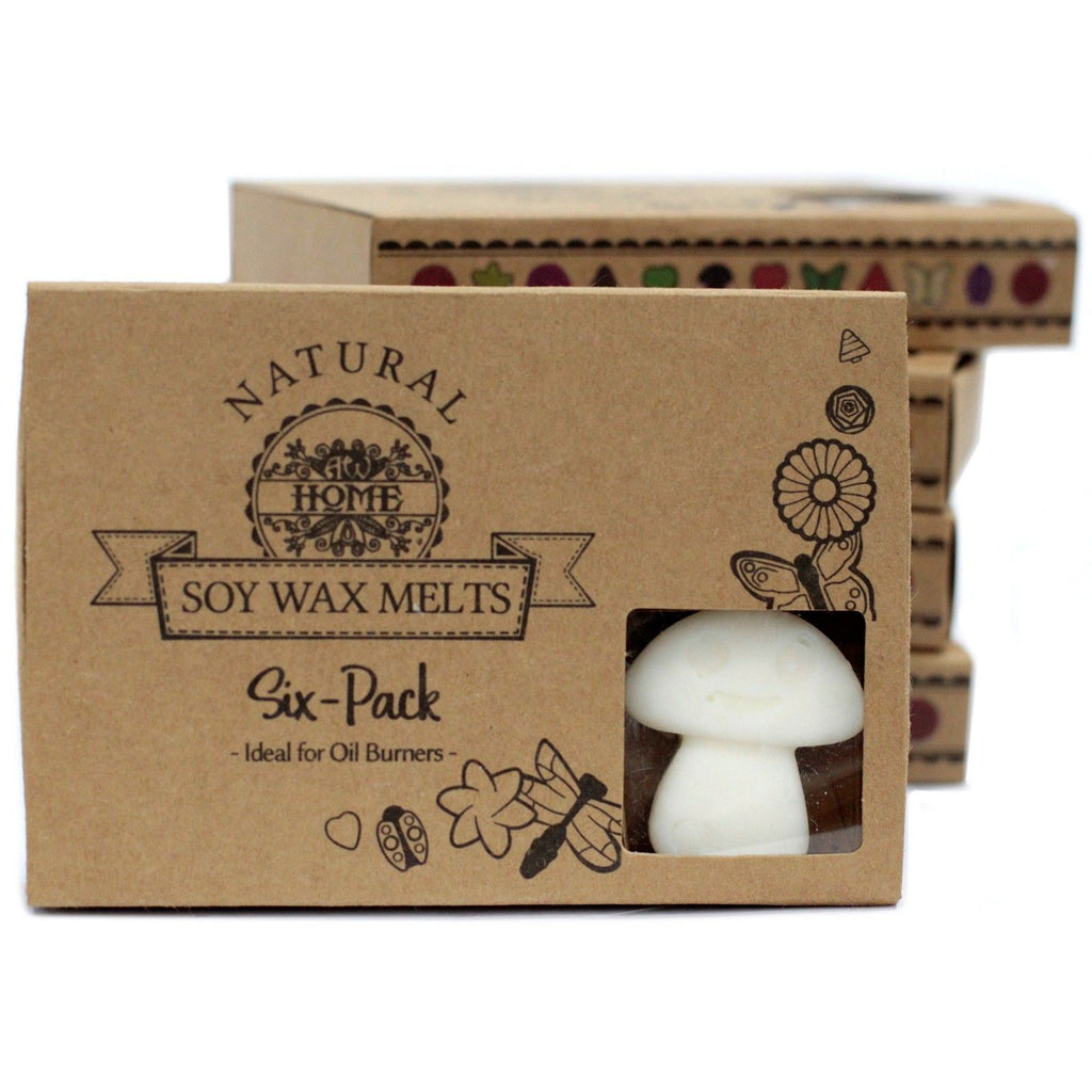 Box of 6 White Musk Wax Melts for Inviting Home Fragrance