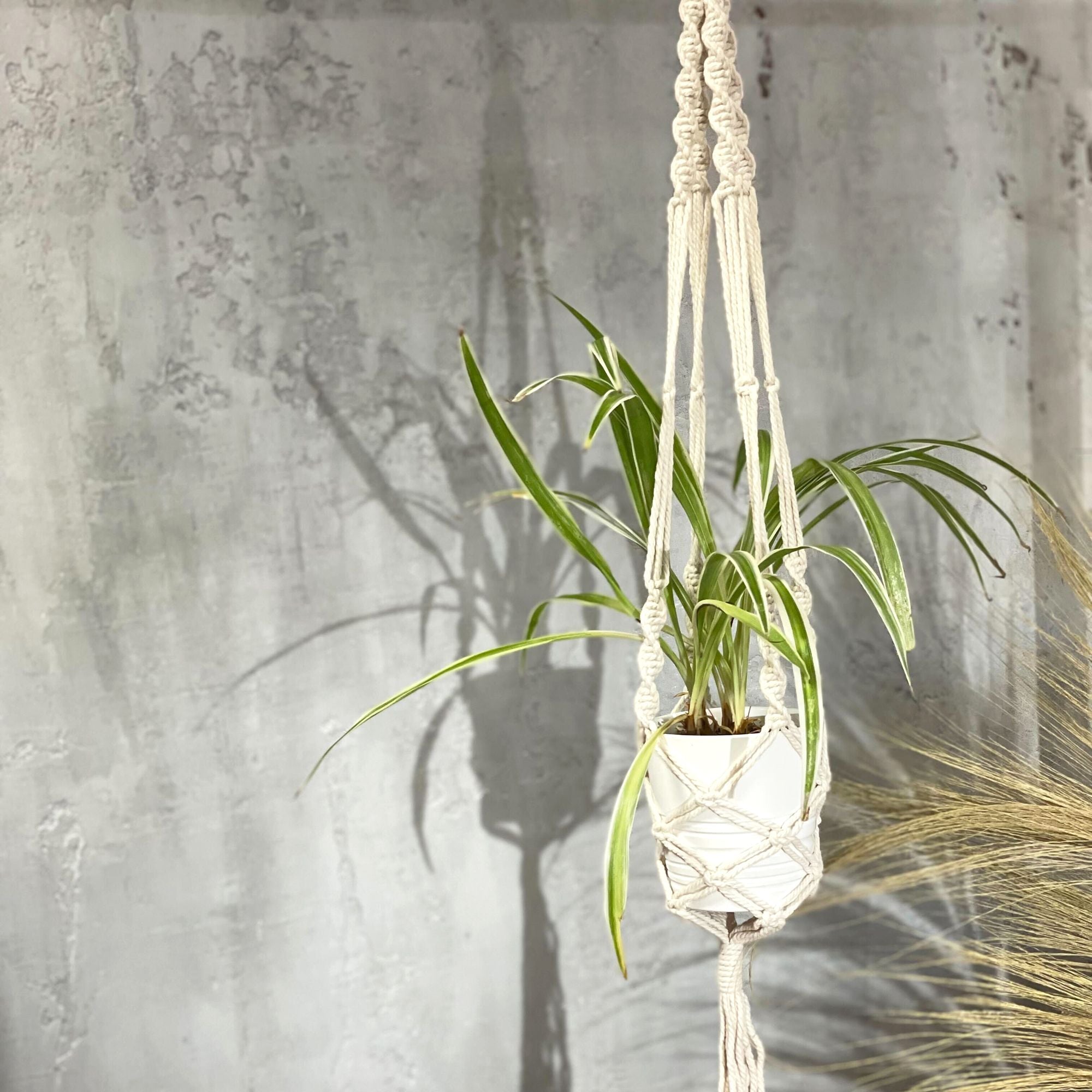 Large Extra Long Macrame Pot Holder for Stylish Plant Display