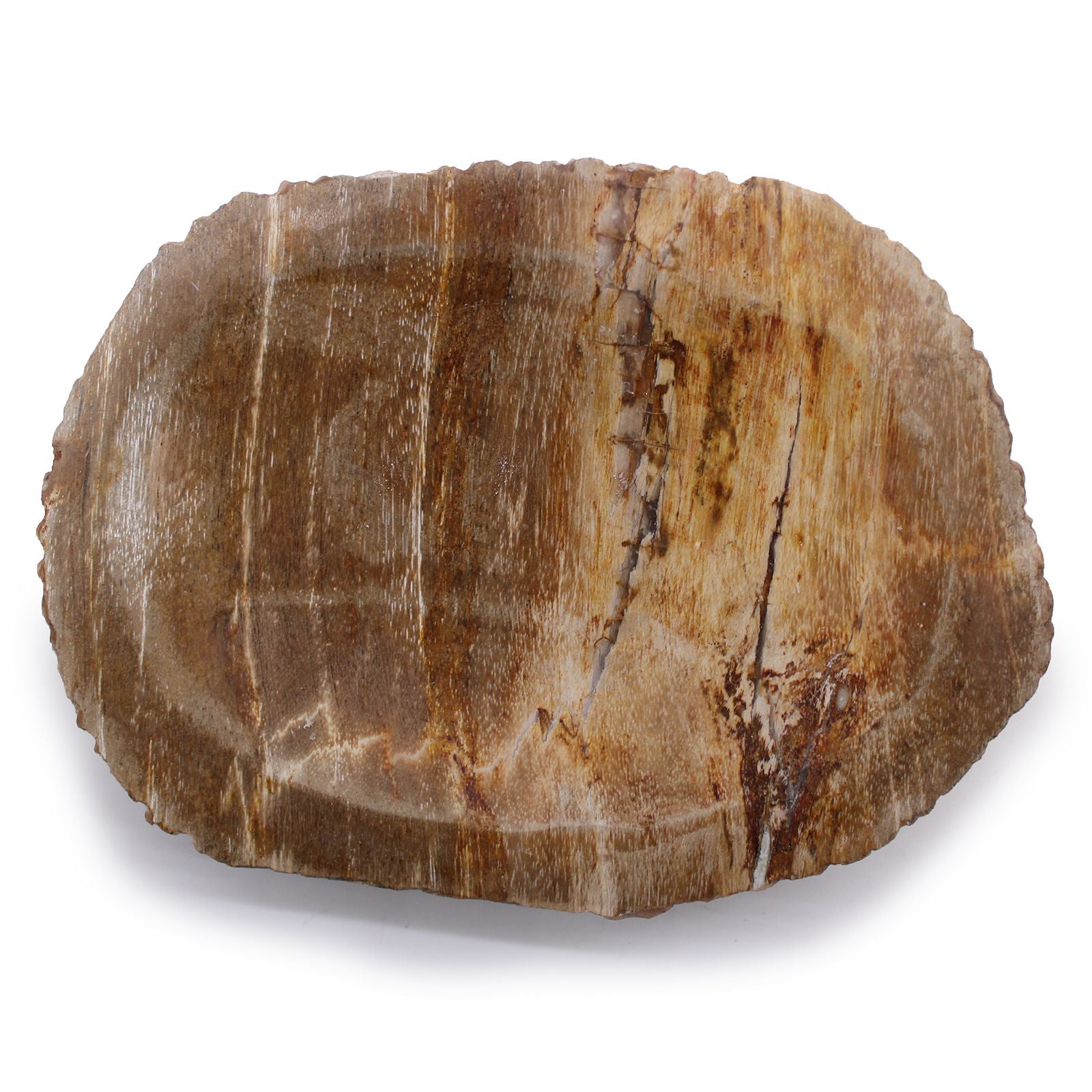 Unique Brown Petrified Wood Soap Dish for Stylish Bathroom Decor