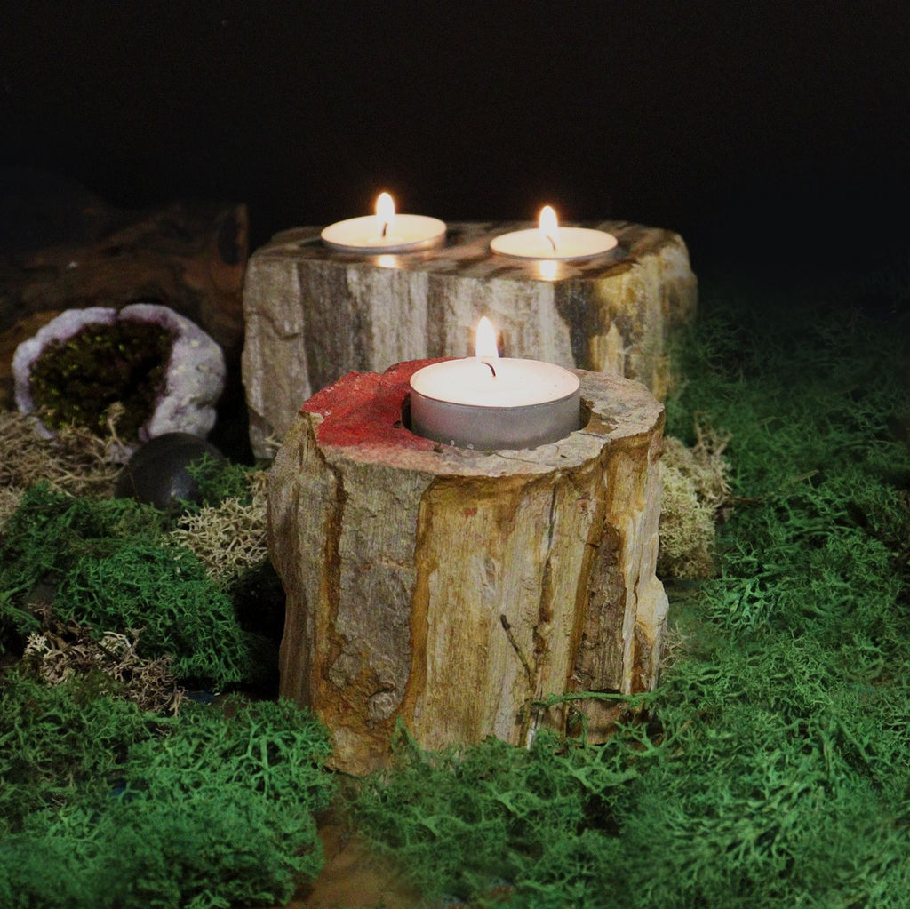 Petrified Wood Candle Holder Single Low for Unique Home Decor
