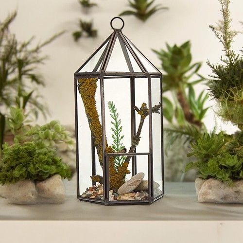 Glass Terrarium in Lantern Shape for Stylish Home Decor