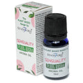 Plant Based Aroma Oil Sensuality for Invigorating Moments