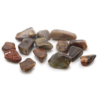 Medium Tumble Stone - Petrified Wood