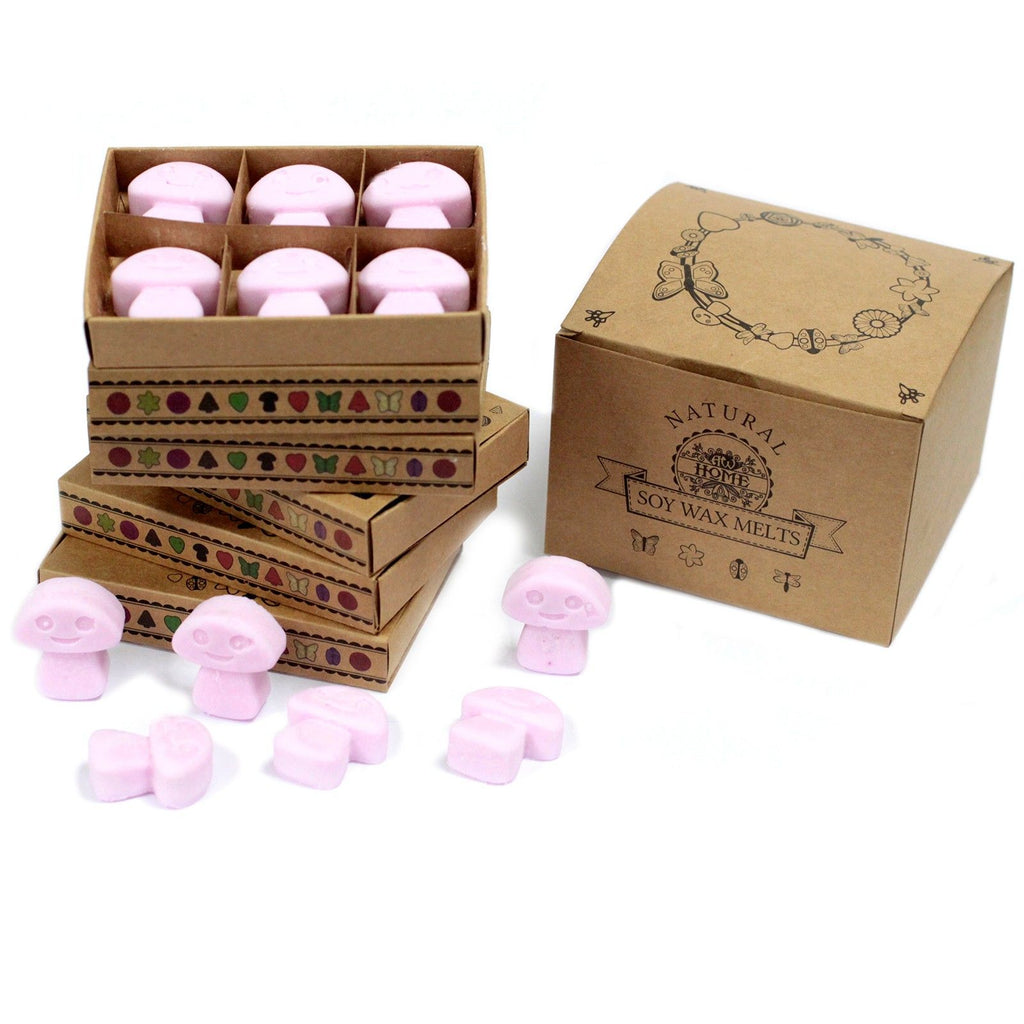 Box of 6 Ylang Ylang Wax Melts for Home Fragrance Experience