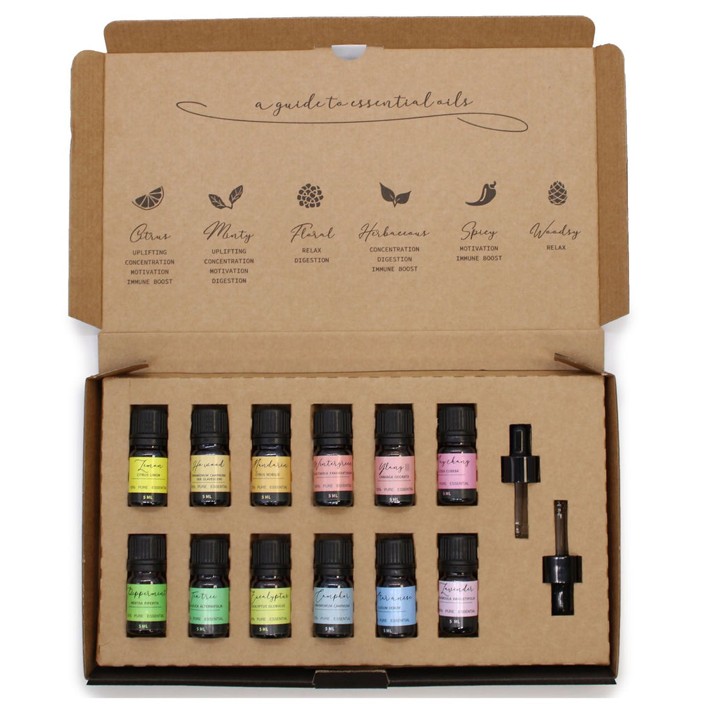 Aromatherapy Essential Oil Starter Pack with 12 Pure Oils Set