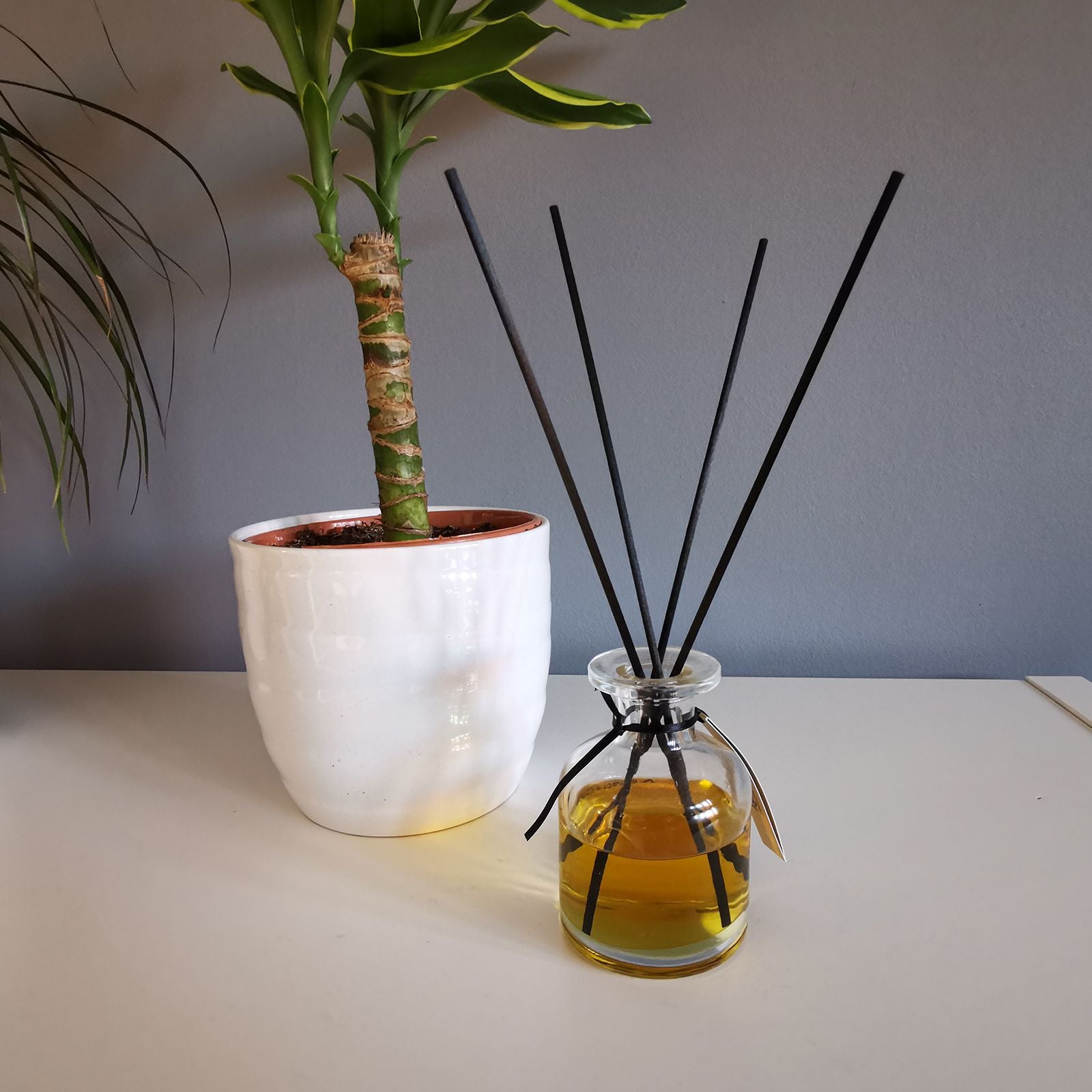 Fibre Black Reed Diffuser 25cm x 3mm for Home Fragrance