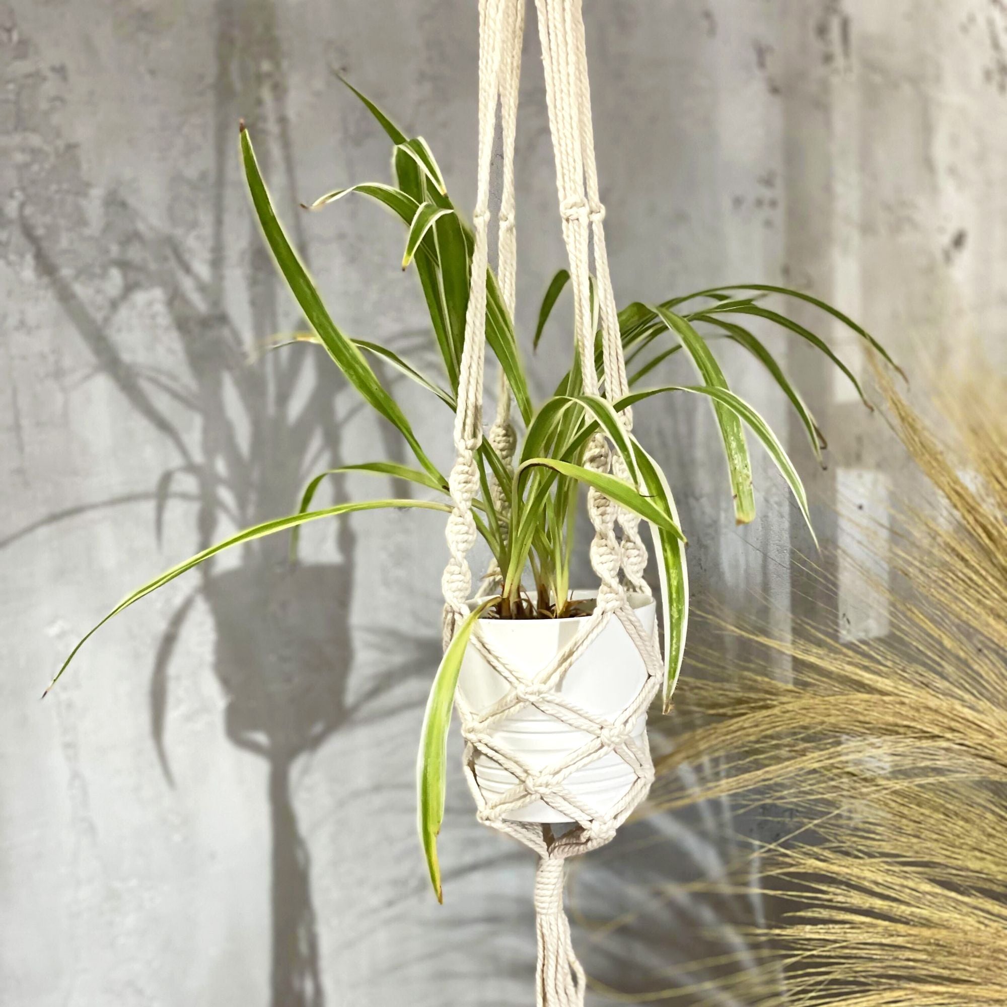 Large Extra Long Macrame Pot Holder for Stylish Plant Display