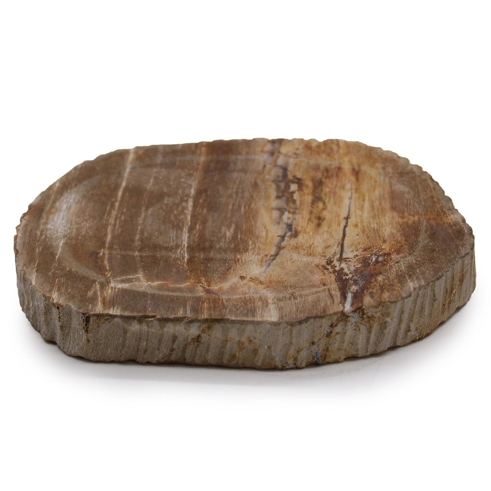 Unique Brown Petrified Wood Soap Dish for Stylish Bathroom Decor