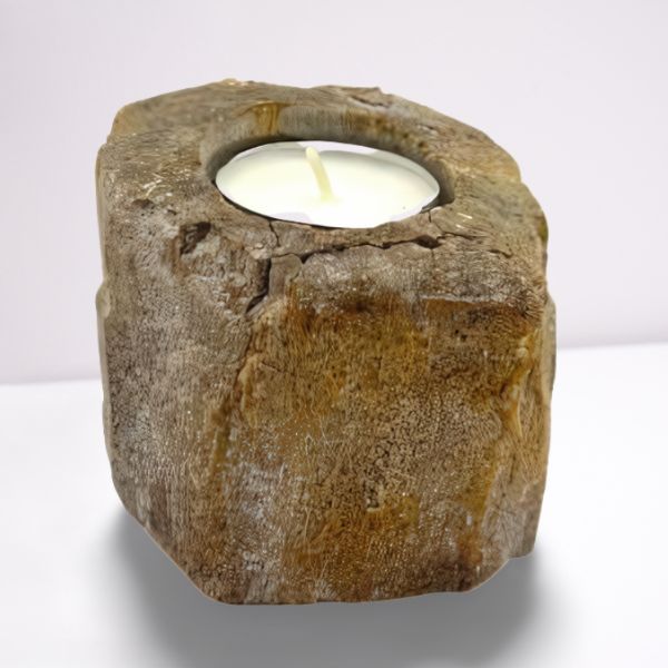 Petrified Wood Candle Holder Single Low for Unique Home Decor