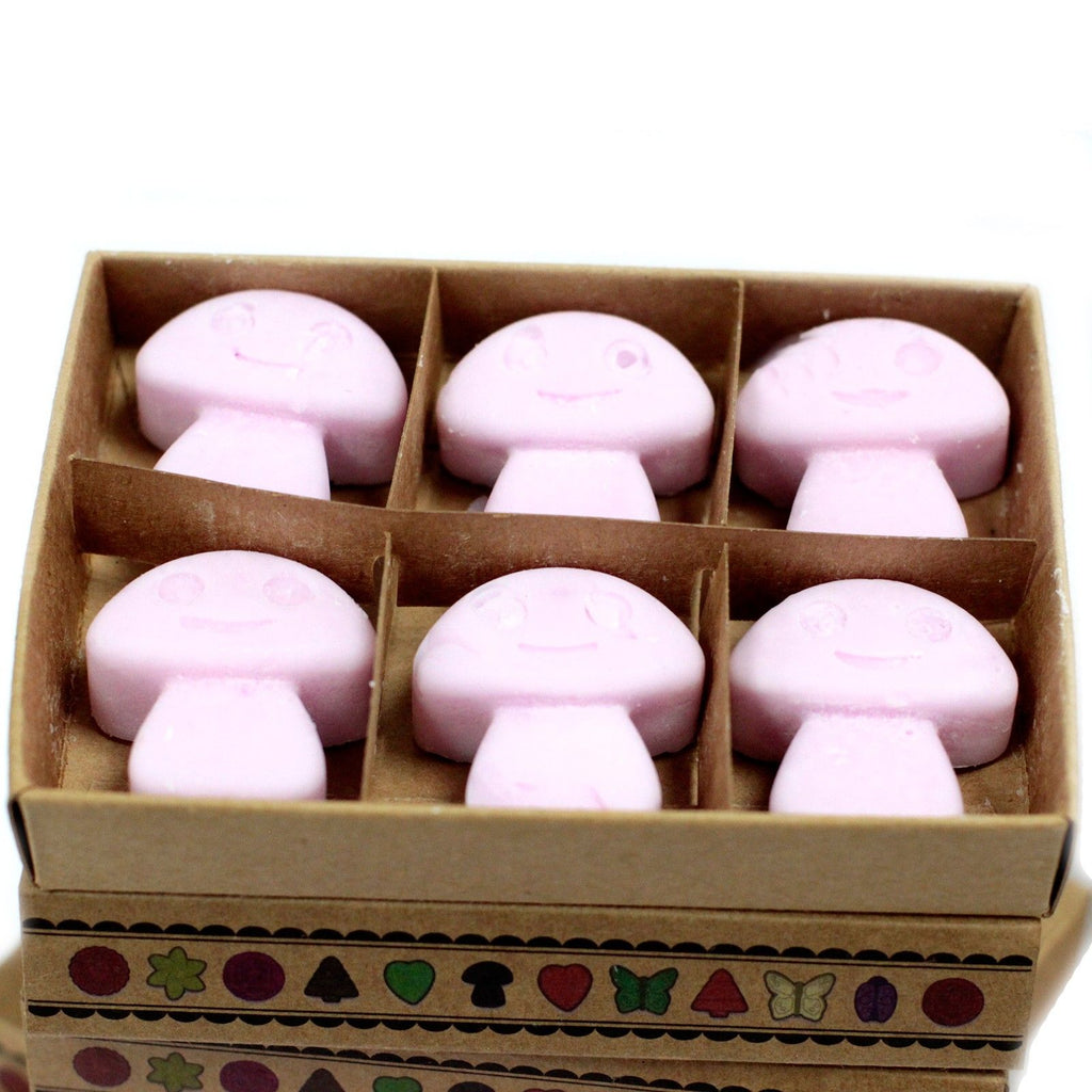 Box of 6 Ylang Ylang Wax Melts for Home Fragrance Experience