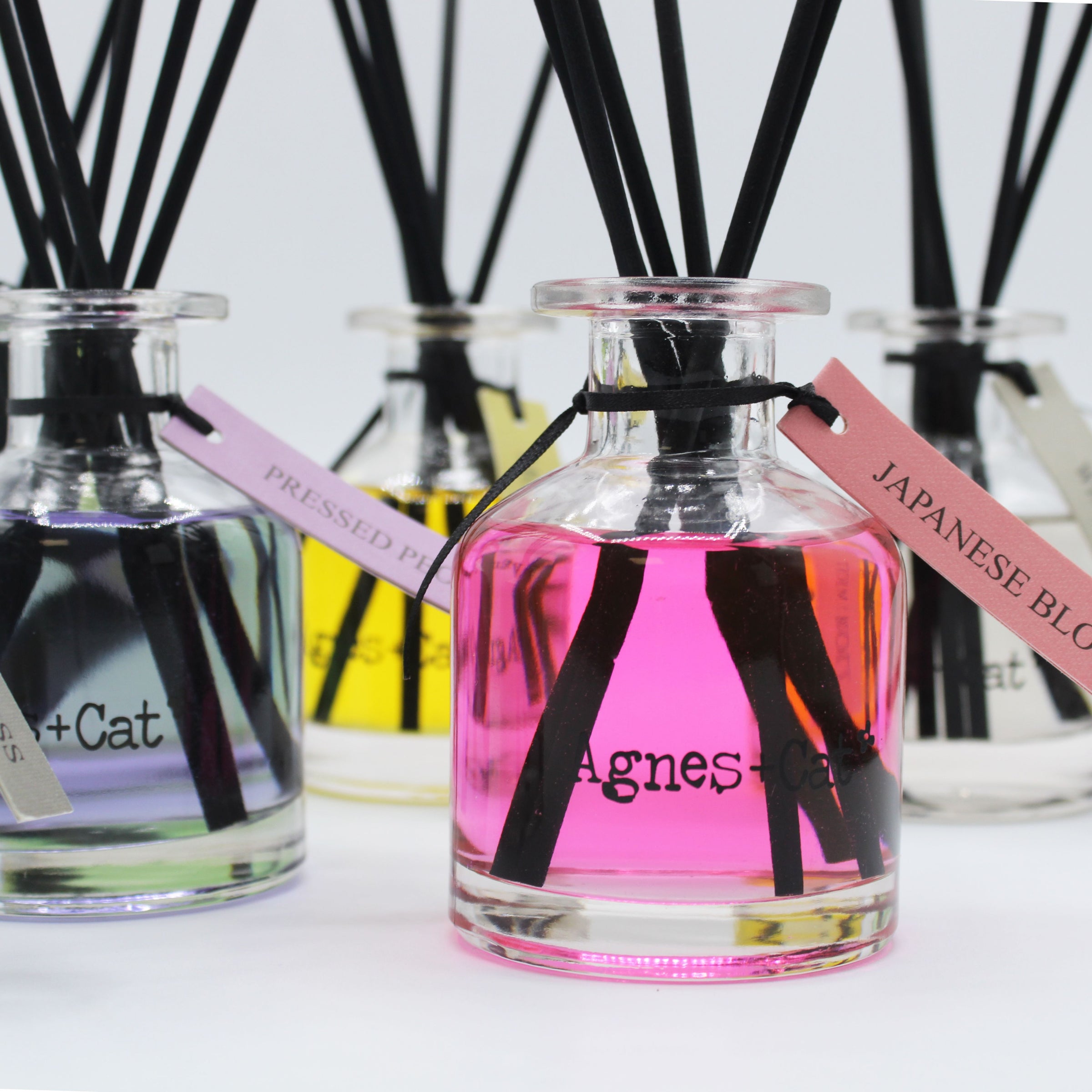 Agnes + Cat 140ml Reed Diffuser - Provence