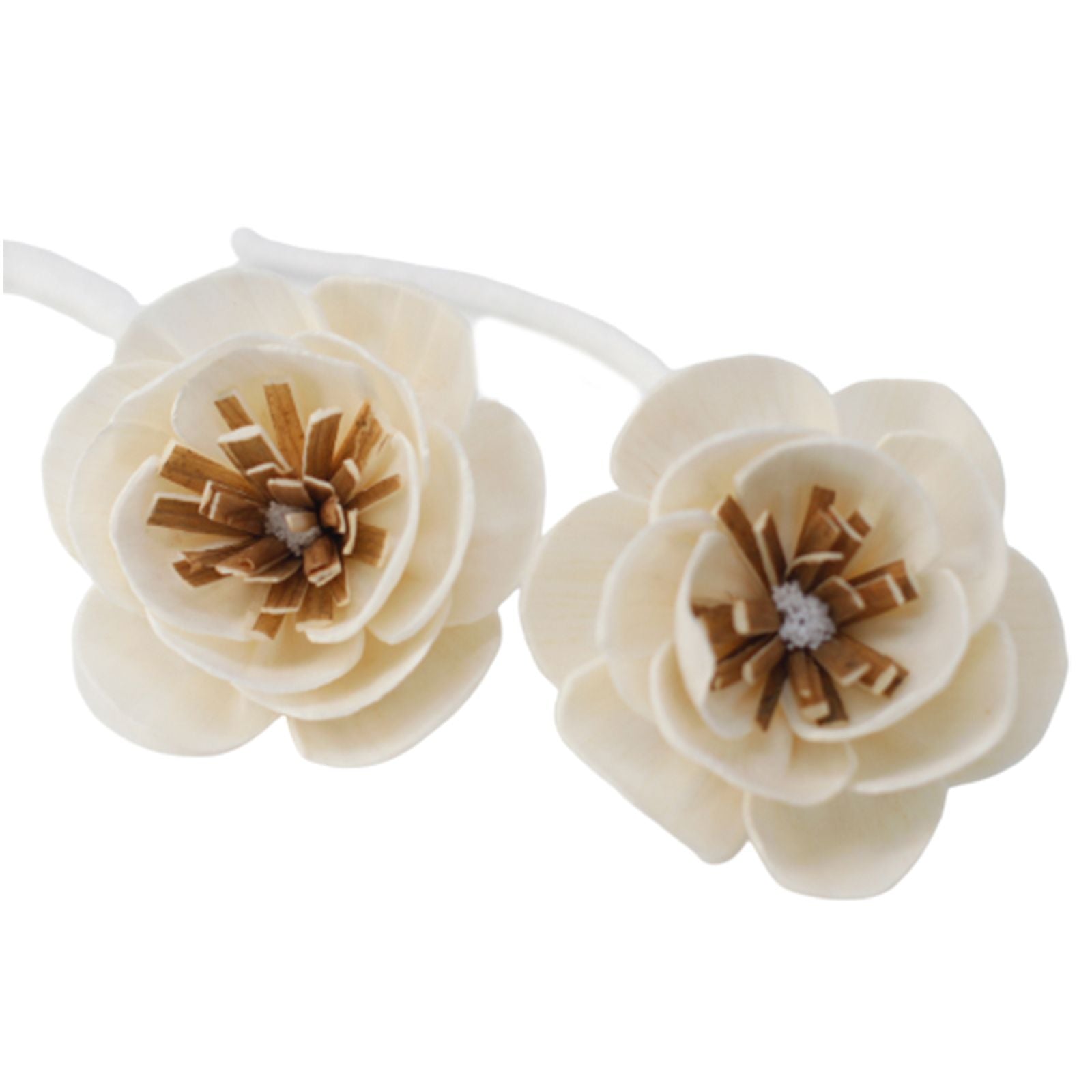 Natural Diffuser Flowers Small Poppy on String for Home Decor