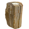 Petrified Wood Candle Holder Single Tall for Unique Home Decor