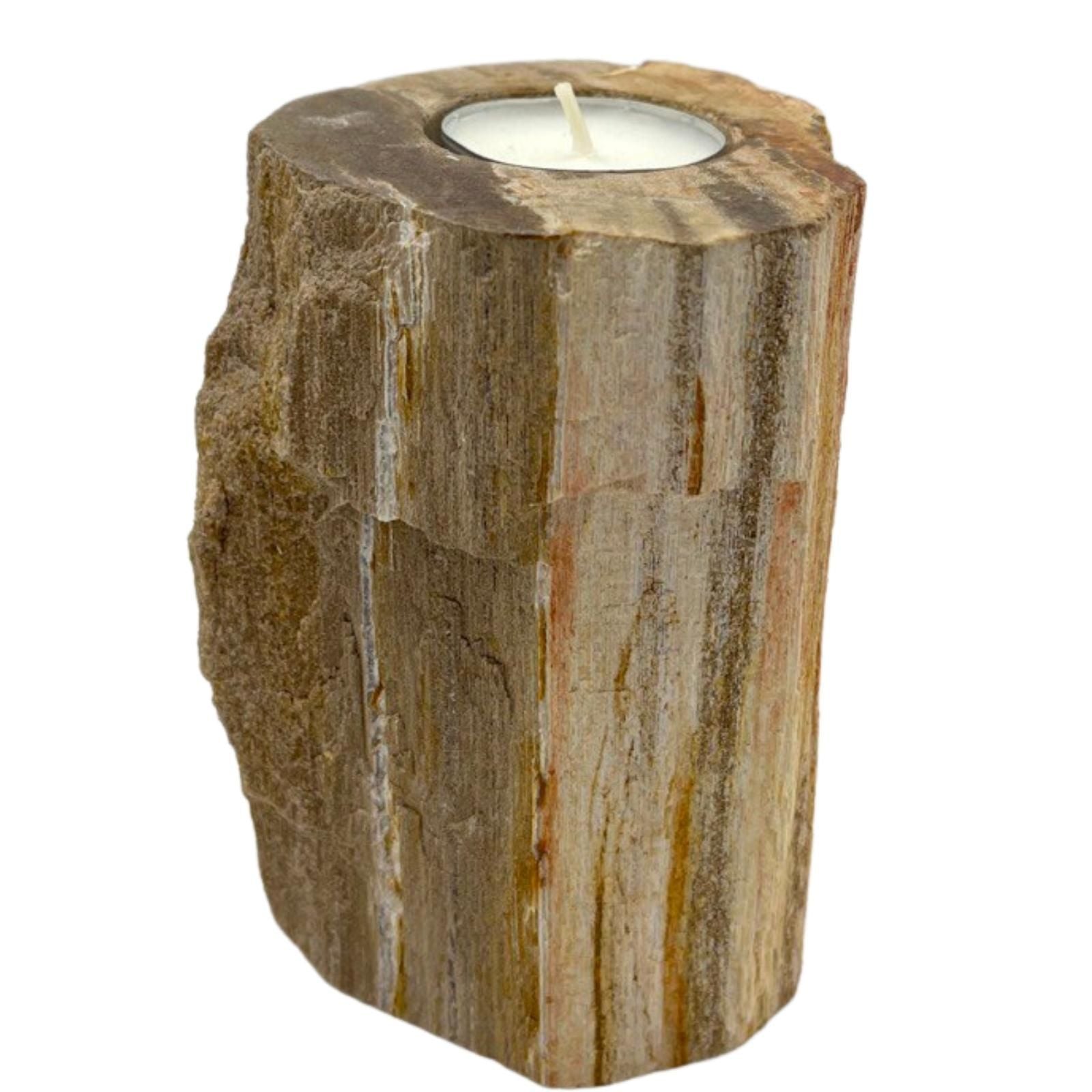 Petrified Wood Candle Holder Single Tall for Unique Home Decor