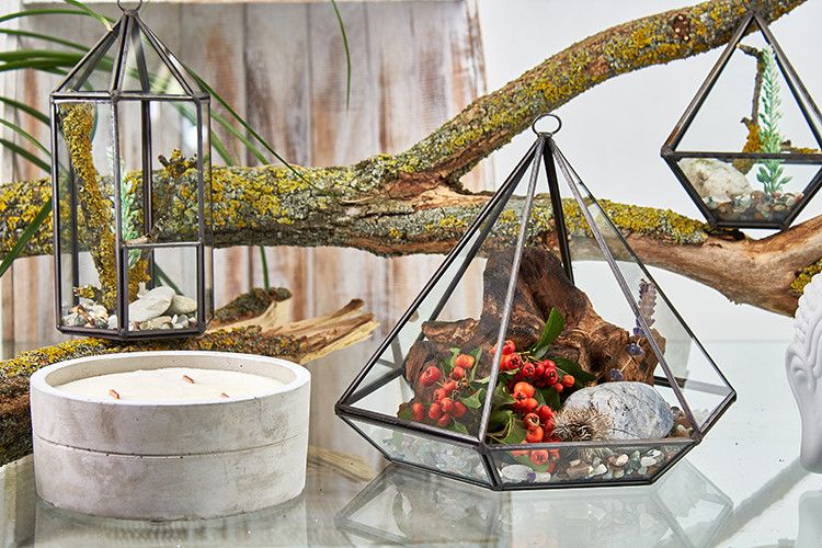 Large Diamond Glass Terrarium for Stylish Home Decor and Plants
