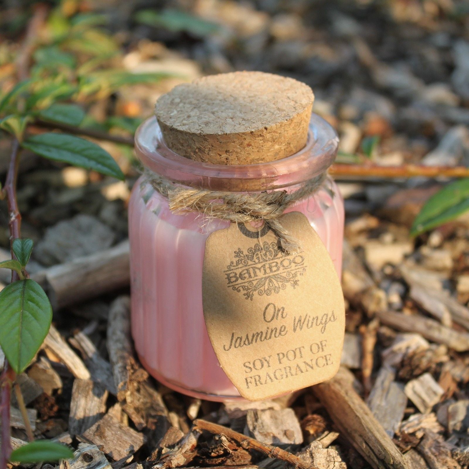 On Jasmine Wings Soy Pot of Fragrance Candles for Home Use