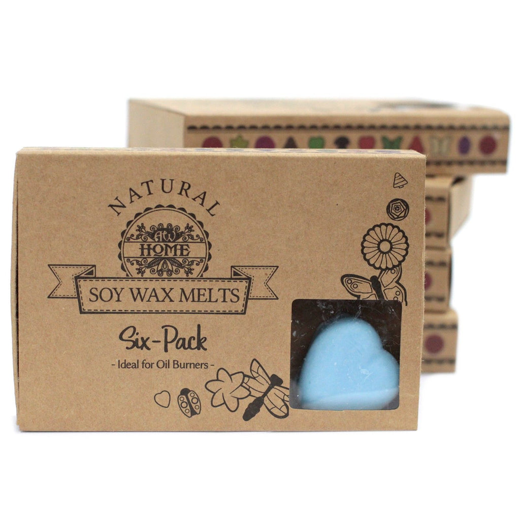 Dewberry Wax Melts Box of 6 for Inviting Home Fragrance