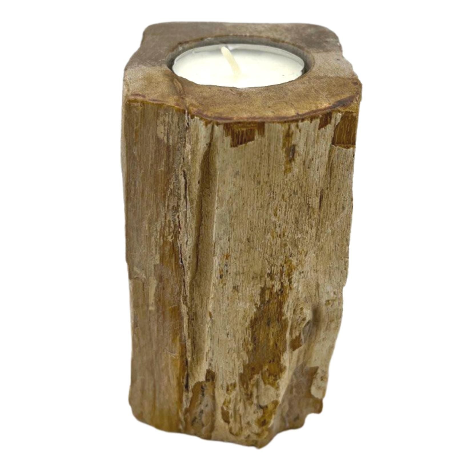 Petrified Wood Candle Holder Single Tall for Unique Home Decor