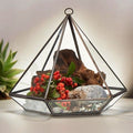 Large Diamond Glass Terrarium for Stylish Home Decor and Plants