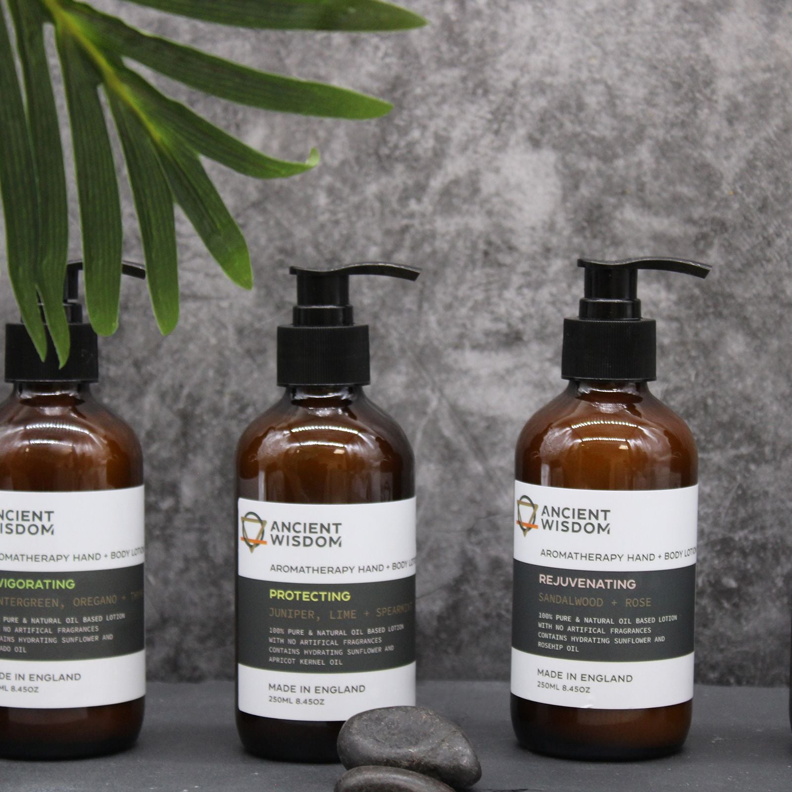 Juniper Lime & Spearmint Hand & Body Lotion for Daily Moisture